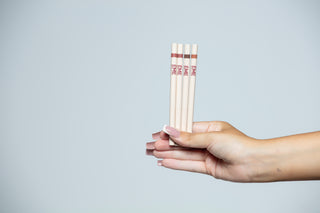THE ESSENTIAL LIP LINERS